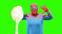 Frozen Elsa Spidergirl Loses Her Hair vs Hulk! Superheroes Webs Fun