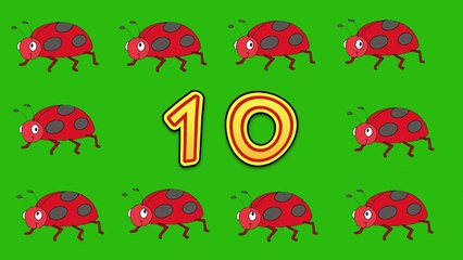 Counting with Bugs - Simple Skits-F10LRMyMw5E