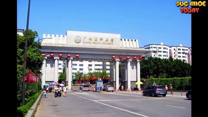 Cả làng chưa từng có người bị ung thư chỉ nhờ một món khoai