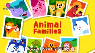 Animal Families _ Animal Songs _ PINKFONG Songs for Children-Z0h8ST8lvto