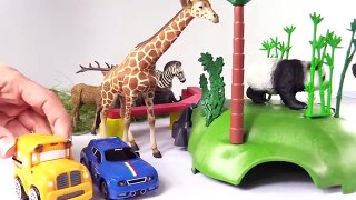 ANIMAL RACE!! Bussy & Speedy's ZOO TRIP! - Toy Car SUPERHEROES Cartoons for Kids! Bburago