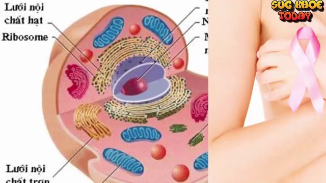 Những dấu hiệu trên cơ thể cảnh báo nguy cơ ung thư cần cảnh giác