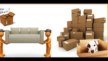 Packers and Movers in Moradabad