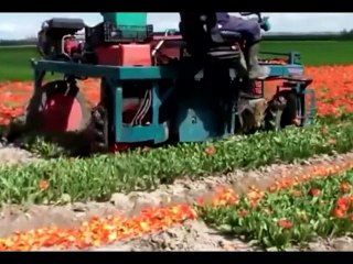 PENEMUAN BARU TEKNOLOGI CANGGIH KEREN UNIK LUCU GILA