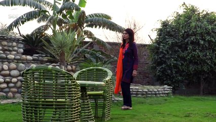 Apnay - Episode#60 - Complete - 8 Jan,2017 - SEE TV