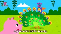 Did You Ever See My Tail _ Animal Songs _ PINKFONG Songs for Children-YMu9X-5XwbM