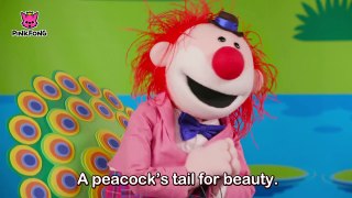 Did You Ever See My Tail _ PINKFONG & Mr. Clown _ Animal Songs _ PINKFONG Songs for Children-On5Y5UB36uM