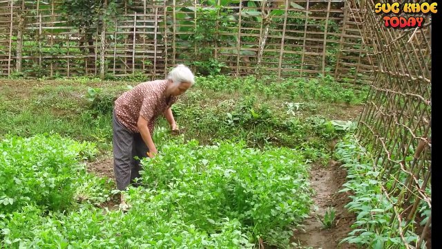 Tiêu diệt 86% tế bào ung thư phổi chỉ với loại rau sống ăn thường ngày