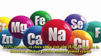 15 điều kì diệu về rau ngổ có thể bạn chưa biết