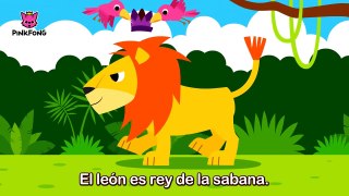 El León _ Animales _ PINKFONG Canciones Infantiles-aTZlPZrQ4MM