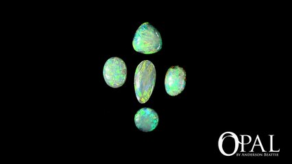 Black Opal by Anderson-Beattie.com