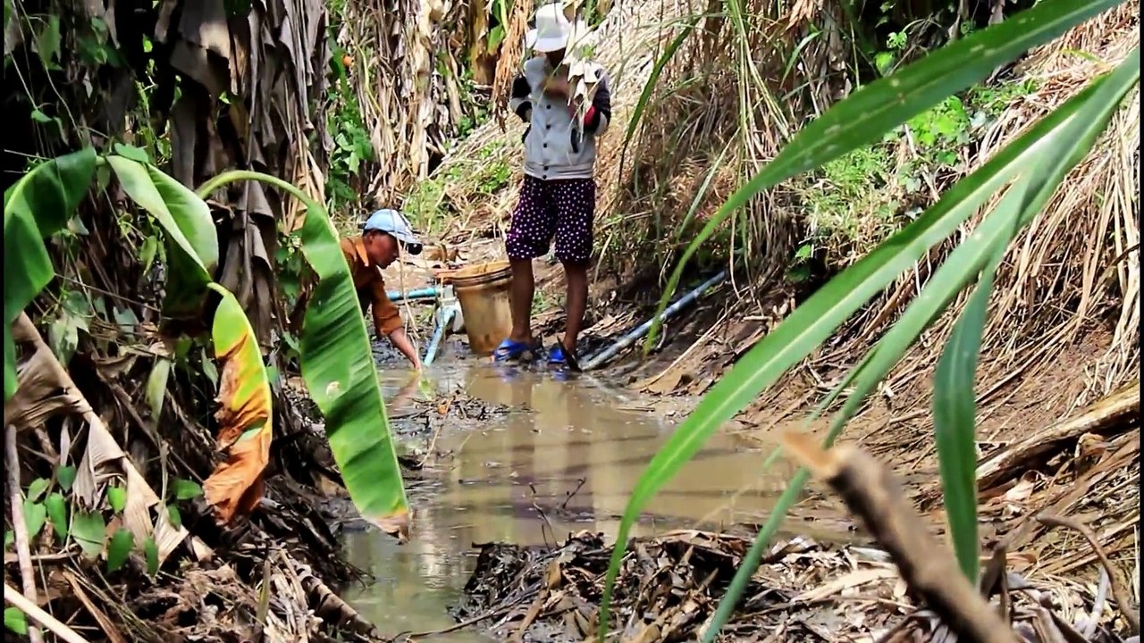 Net Fishing at pailin Province - Khmer Cast Net Fishing -Cambodia Traditional Fishing ( Part 59)