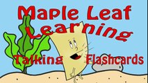 Learn Sea Animals _ Talking Flashcards-ls5hoi9t2UE