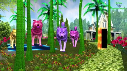 Animals Nursery Rhymes Collection || 3d Animation Song For Cartoon Children Rhymes