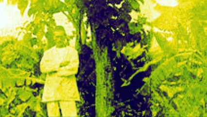 Vishal Experimental Factory "Bad blood"