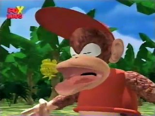 Donkey Kong Country -  Kong Fu