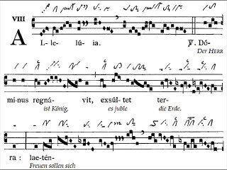 Alleluia Dominus regnavit, Dominica III TpA (3 TO)