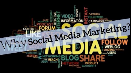 Social Media Consultant in Dallas TX - CoSapient