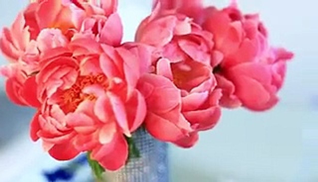 Hand bag and Wallet_How to make a wallet for coin-art and craft_How to make a beautiful hand bag-art and craft