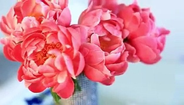 Hand bag and Wallet_How to make a wallet for coin-art and craft_How to make a beautiful hand bag-art and craft