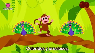 Animales, Animales _ Animales _ PINKFONG Canciones Infantiles-d9FQq3punJs