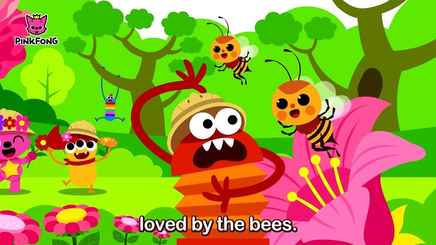 Nature _ Word Power _ Pinkfong Songs for Children-xMVY2hMwPek
