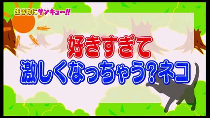 ・実はネコは超甘えん坊!!・好きすぎて激しくなっちゃうネコ!! 「生き物にサンキュー!」