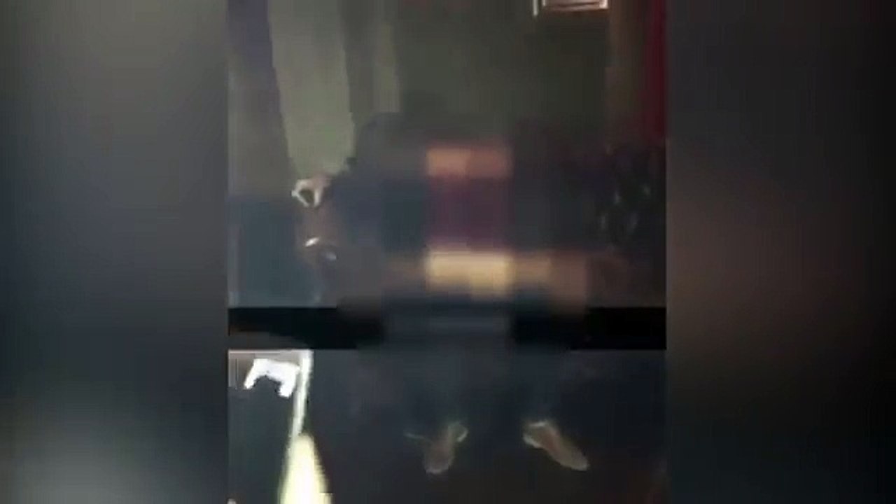 Randy couple caught 'having sex' in middle of packed Cardiff nightclub