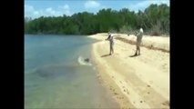 Le crocodile s'y prend très mal pour voler ce requin échoué sur la plage
