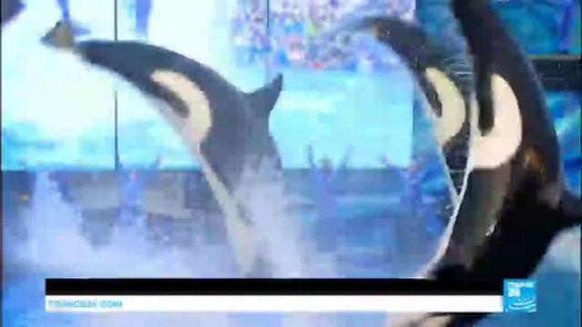 US - SeaWorld ends its long running killer whales show after years of criticism