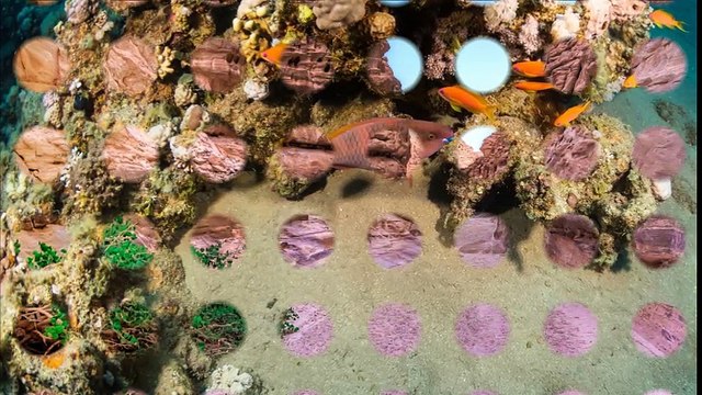 Shore Excursions In Egypt