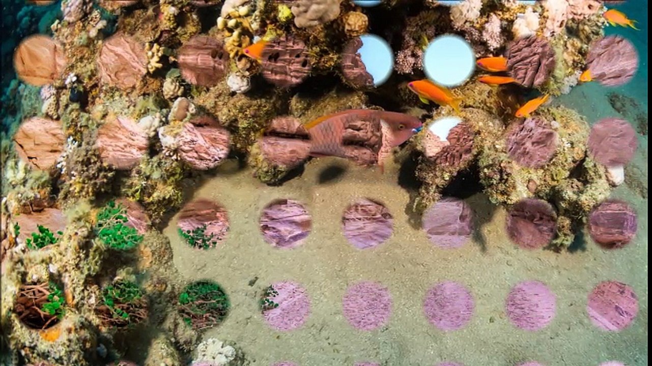 Shore Excursions In Egypt