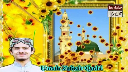 PUNJABI NAAT JO V MANGA MENU SARKAR ATA KARDEY NE BY UMAIR ZUBAIR QADRI NEW NAAT