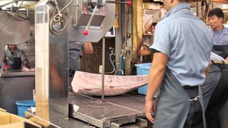 Bandsaw cutting of frozen Tuna.