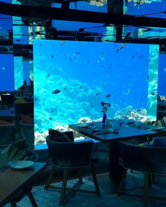 Harika bir restaurant