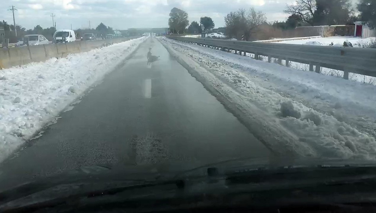 Neve in Puglia: ex ss98 direzione Bari (9 gennaio 2017)
