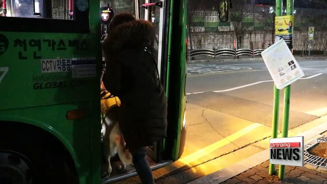 Guide Dogs in Korea: Public perception improves but challenges remain