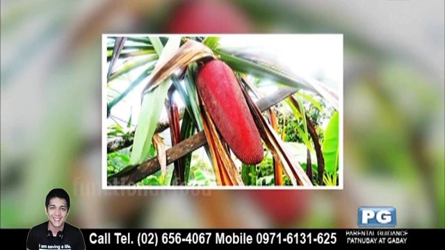 Buah Merah Mix Juice featured in Rated K