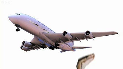 Snake on a plane cancels Emirates flight to Dubai
