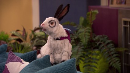 Les Thunderman | Super Marathon : Dr Colosso| NICKELODEON