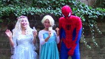 Joker Girl steals Elsas hair! w/ Spiderman, Ariel mermaid, Joker, catwoman