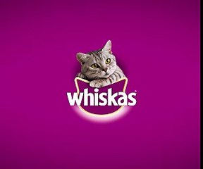 Boire une bière sans les mains