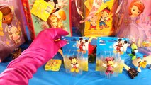 Sophia the First Doc McStuffins Mickey Mouse Jake and the Neverland Pirates Blind Bags