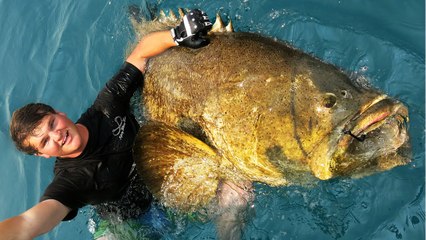 Fishing For MONSTER Goliath Groupers