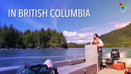 Indigenous Causes to Support After Standing Rock