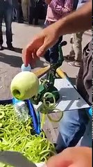Amazing_Fruit_seller___Bezzati.com___2017