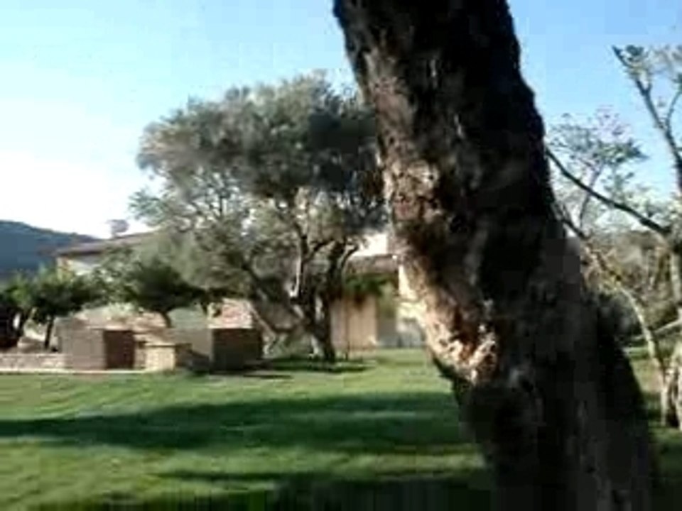 Carooooo 047