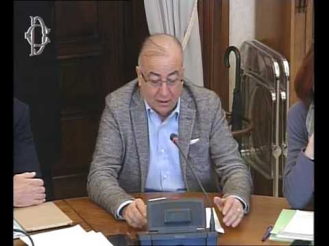 Roma - Audizione sindacati, Confindustria ed esperti (10.01.17)