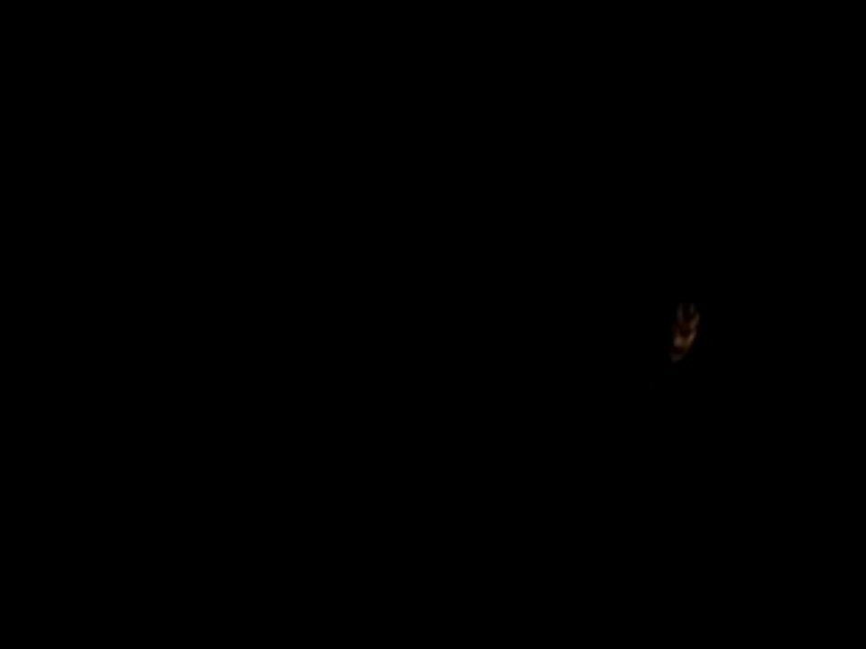 Double(l) 027