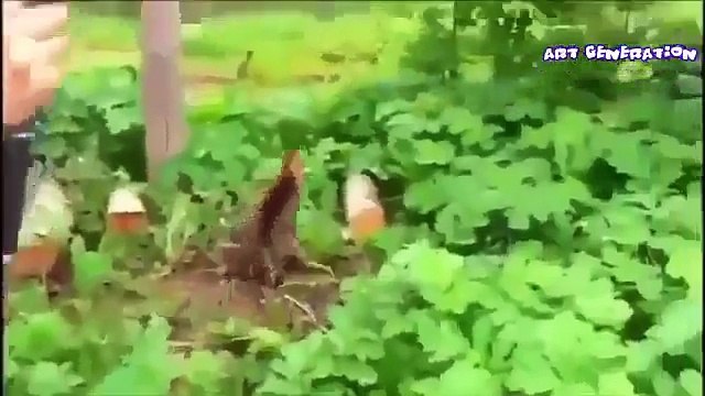 Приколы и неудачи 2015 июнь FAIL Compilation june Ржака Угар Смех 2